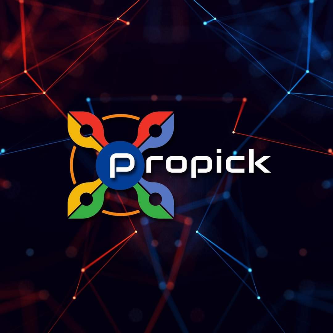 ProPick Digital Solutions Consulting Sdn Bhd